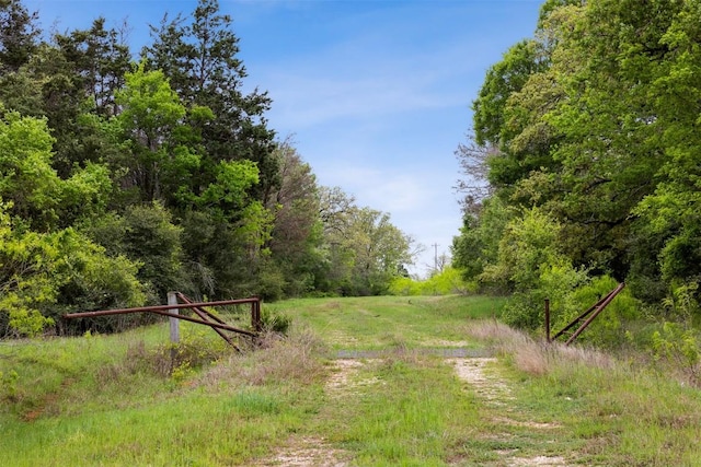 4822 Fm 1624th Rd, Lexington, TX 78947