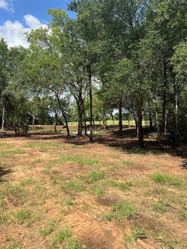 4822 Fm 1624th Rd, Lexington, TX 78947