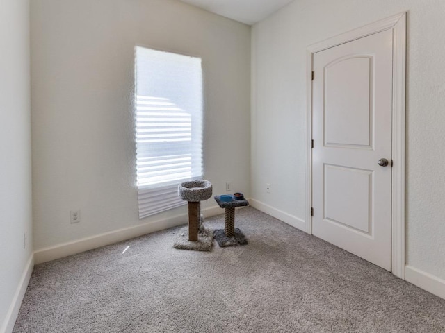 1010 Gravel St, San Marcos, TX 78666 - photo 12