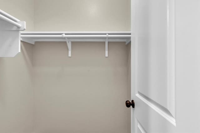 3613 Esperanza Dr, Round Rock, TX 78665 - view of spacious closet