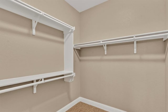 3613 Esperanza Dr, Round Rock, TX 78665 - spacious closet with carpet