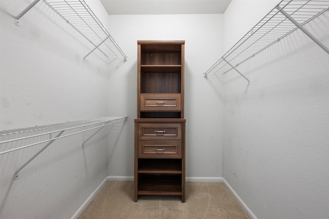 11203 Ranch Road 2222 1105, Austin, TX 78730 - walk in closet with light carpet