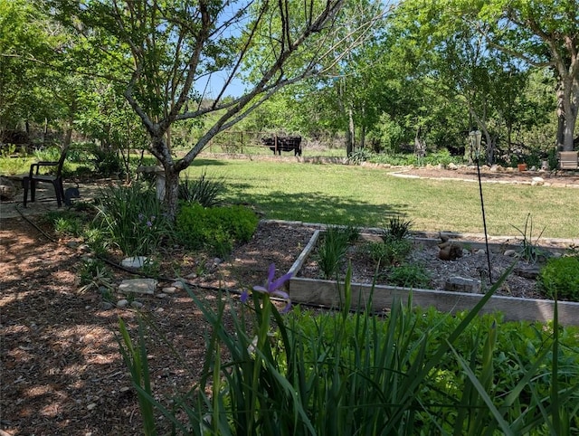 1919 W Creek Loop, Round Rock, TX 78681 - photo 30