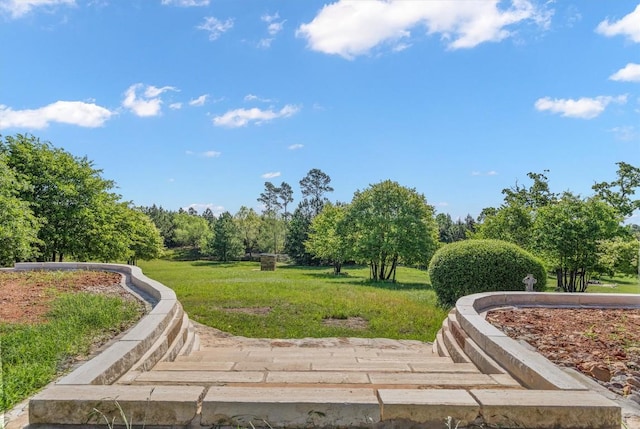 459 Mcallister Rd, Bastrop, TX 78602 - view of property's community featuring a yard
