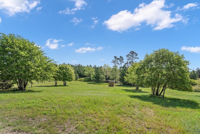 459 Mcallister Rd, Bastrop, TX 78602 - view of grassy yard