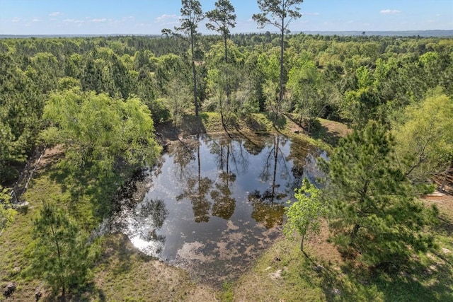 459 Mcallister Rd, Bastrop, TX 78602 - aerial view of property and surrounding area with a heavily wooded area and a large body of water