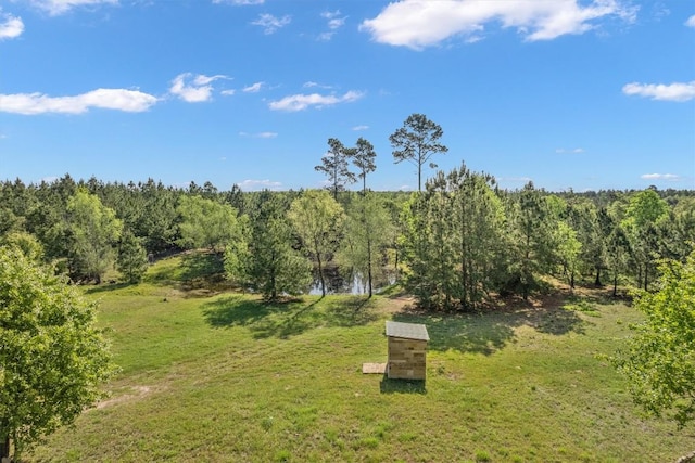 459 Mcallister Rd, Bastrop, TX 78602 - view of grassy yard