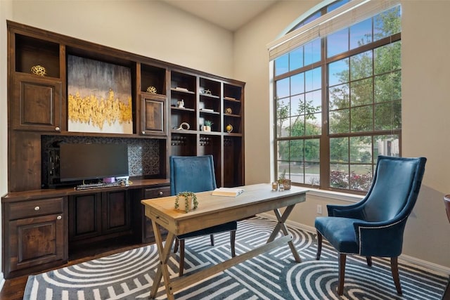 4105 Gandara Bnd, Austin, TX 78738 - home office with baseboards