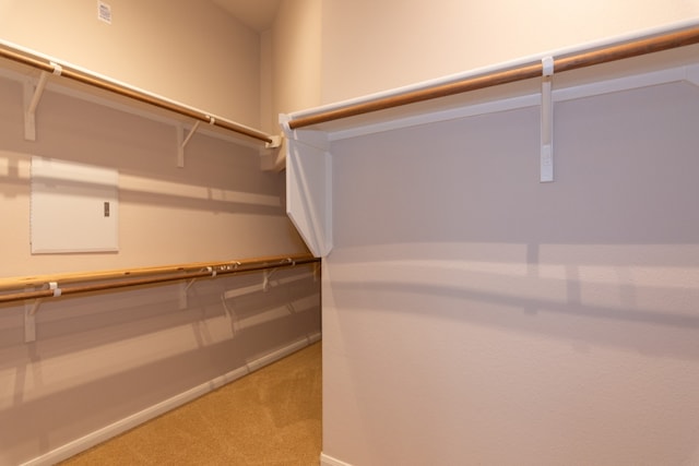 171 Brighton Ln, Austin, TX 78737 - walk in closet featuring carpet floors