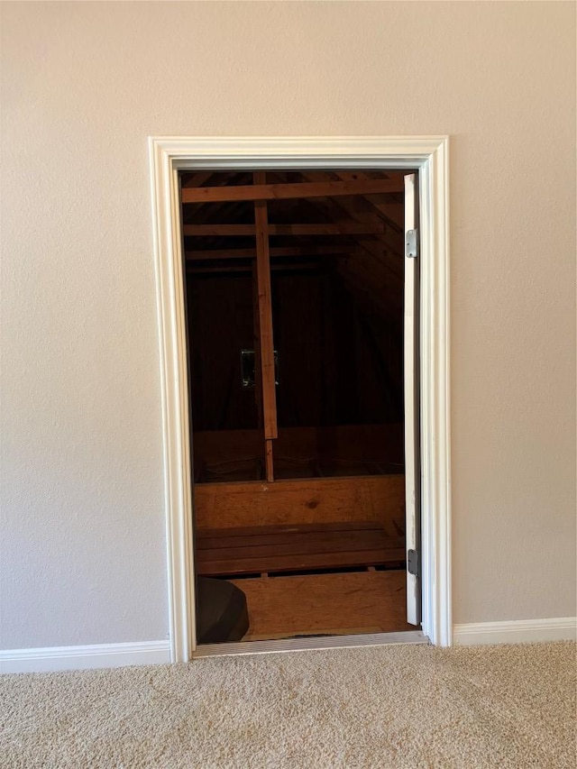 interior details featuring a sauna, baseboards, and carpet