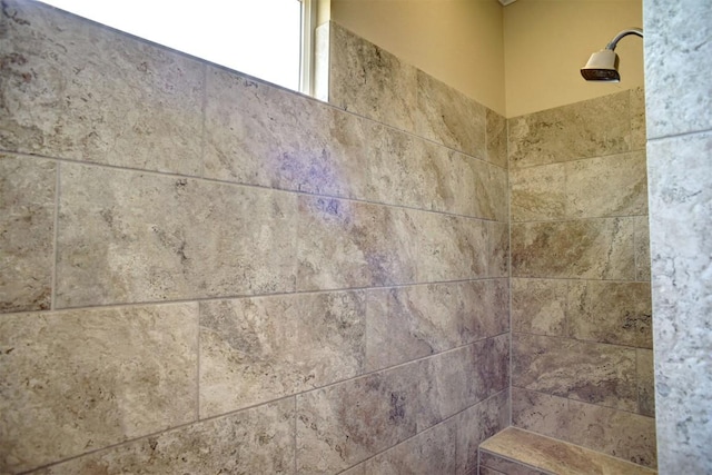 159 Alele Dr, Bastrop, TX 78602 - bathroom view of a tile shower