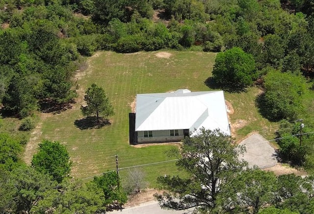 159 Alele Dr, Bastrop, TX 78602 - aerial view of property and surrounding area