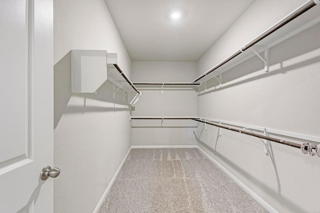 1528 Longhorn Ranch Dr, Leander, TX 78641 - spacious closet featuring light carpet