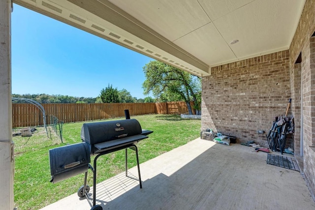 1528 Longhorn Ranch Dr, Leander, TX 78641 - fenced backyard with a patio area and a grill