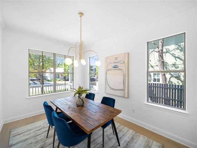 dining room featuring baseboards and wood finished floors