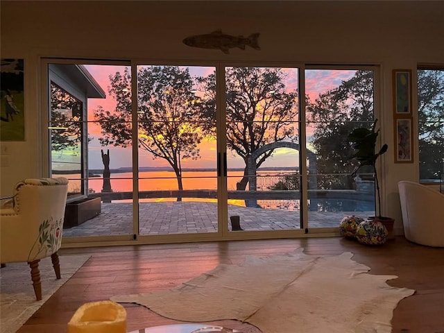 entryway with a water view and wood finished floors
