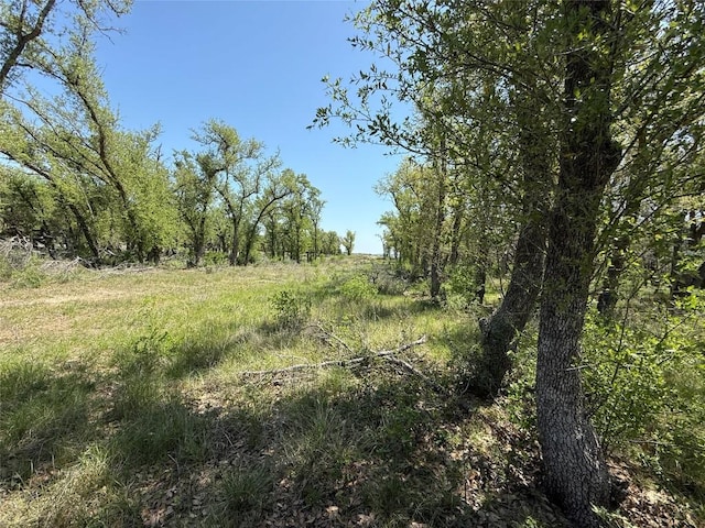 LOT106 E Flying Owl Dr, Johnson City, TX 78636