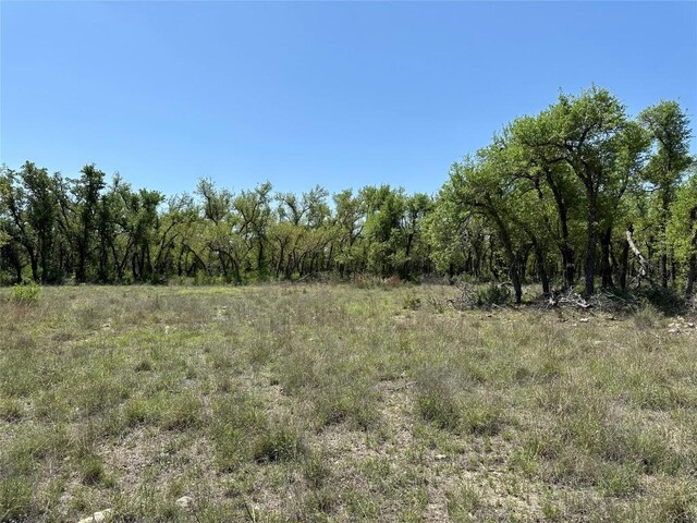 LOT106 E Flying Owl Dr, Johnson City, TX 78636