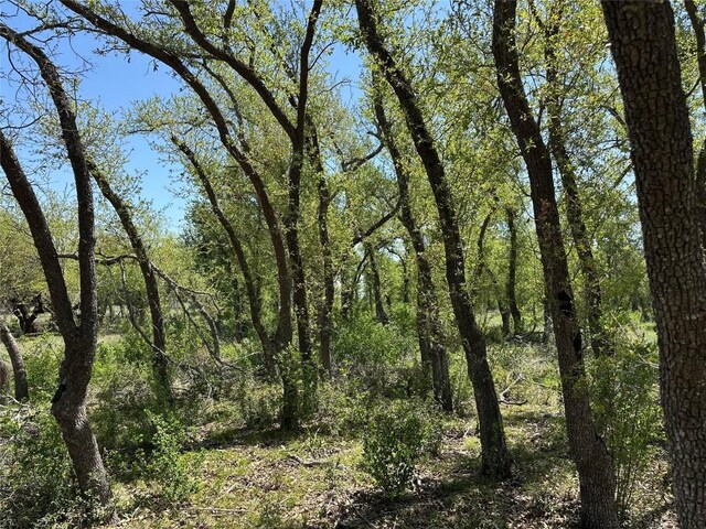 LOT106 E Flying Owl Dr, Johnson City, TX 78636