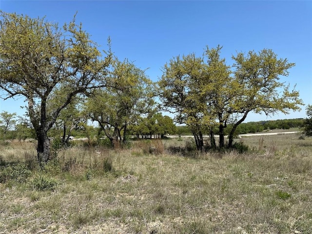 LOT106 E Flying Owl Dr, Johnson City, TX 78636