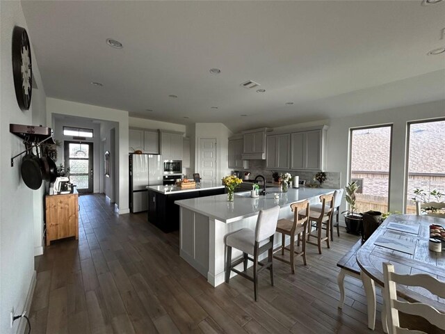 145 Cyrus Milton Dr, Buda, TX 78610 - kitchen featuring stainless steel appliances, healthy amount of natural light, dark wood-style flooring, and recessed lighting