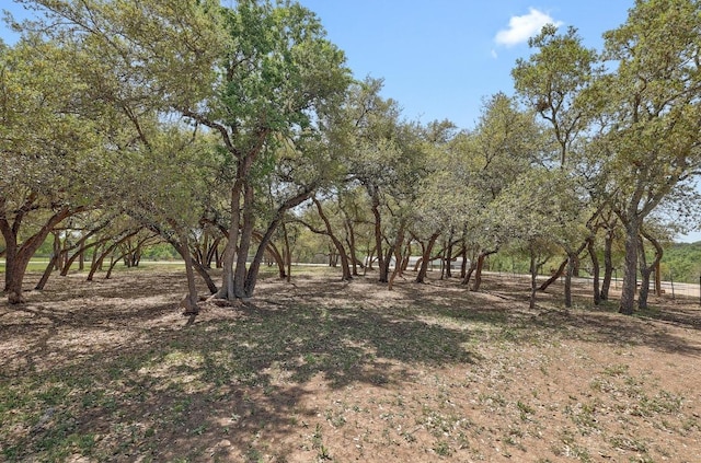 136 River View Rd, Liberty Hill, TX 78642 - photo 5