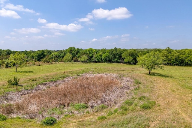 136 River View Rd, Liberty Hill, TX 78642 - photo 32