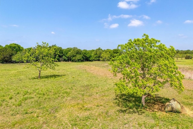 136 River View Rd, Liberty Hill, TX 78642 - photo 33