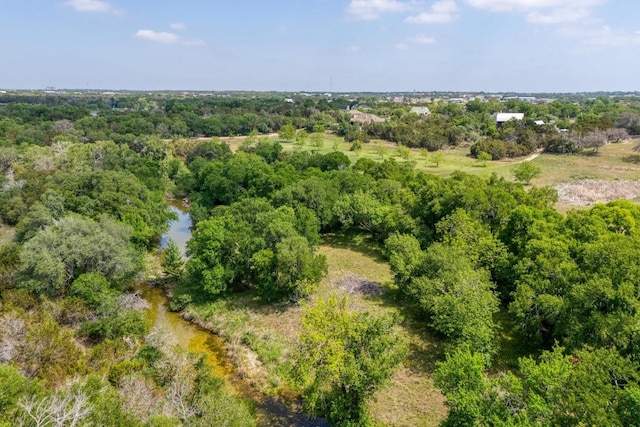 136 River View Rd, Liberty Hill, TX 78642 - photo 36