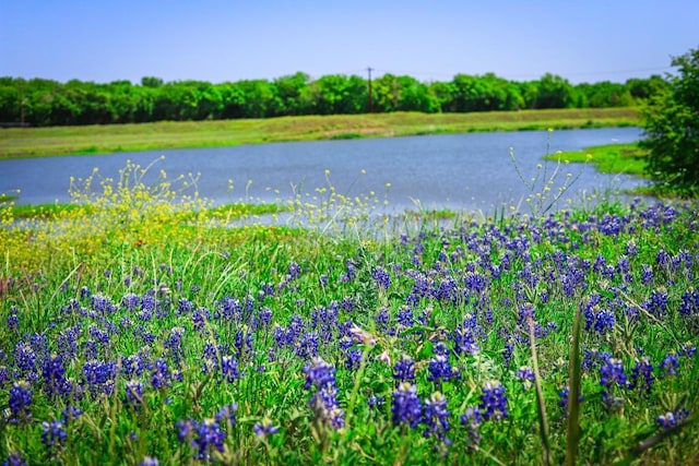 8801 Mina Dr, Austin, TX 78747 - water view