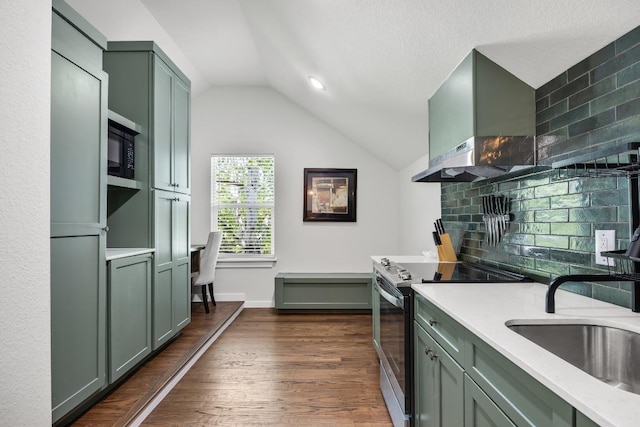622 Galston Dr, Spicewood, TX 78669 - kitchen with stainless steel electric range, green cabinetry, lofted ceiling, tasteful backsplash, and black microwave