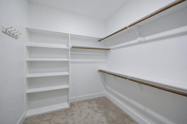 3401 Bandit Ct, Kempner, TX 76539 - walk in closet with light colored carpet