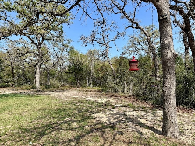 1021 Lewis Ln, Harwood, TX 78632 - view of yard