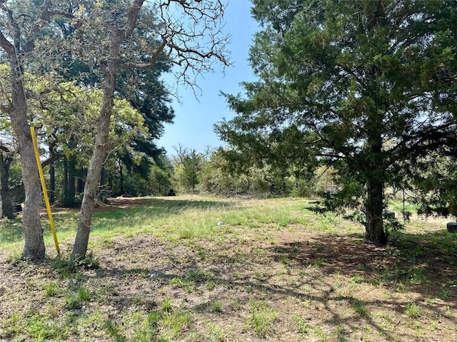 1021 Lewis Ln, Harwood, TX 78632 - view of local wilderness