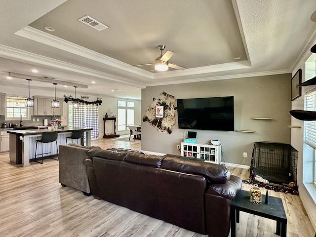 1021 Lewis Ln, Harwood, TX 78632 - living room featuring a tray ceiling, light wood-style flooring, plenty of natural light, and ornamental molding