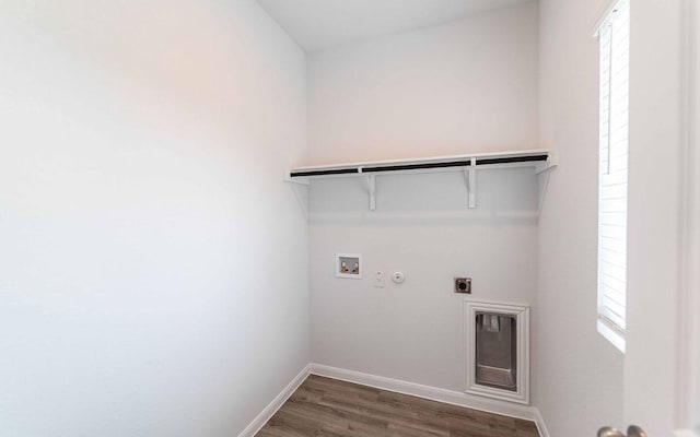 510 Timber Brook Dr, Hutto, TX 78634 - clothes washing area with hookup for an electric dryer, baseboards, hookup for a washing machine, wood finished floors, and laundry area