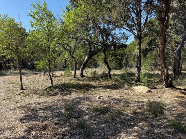 7306 Admirals Park Dr, Jonestown, TX 78645