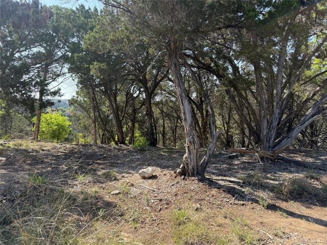 7306 Admirals Park Dr, Jonestown, TX 78645