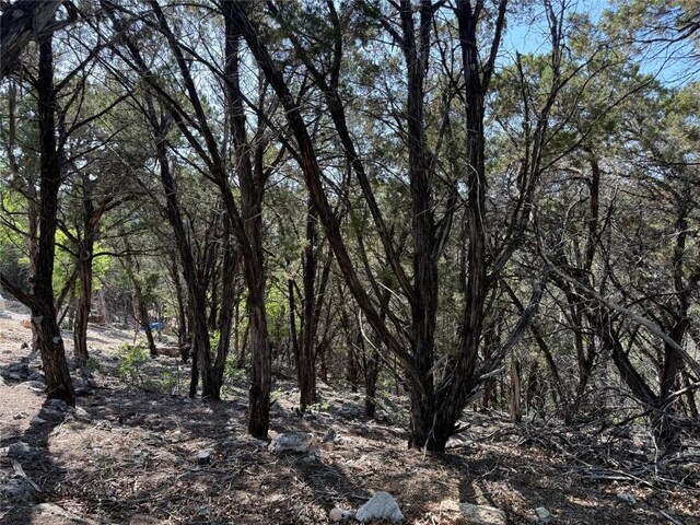 7306 Admirals Park Dr, Jonestown, TX 78645