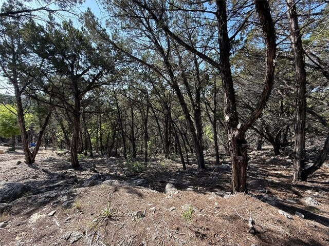 7306 Admirals Park Dr, Jonestown, TX 78645