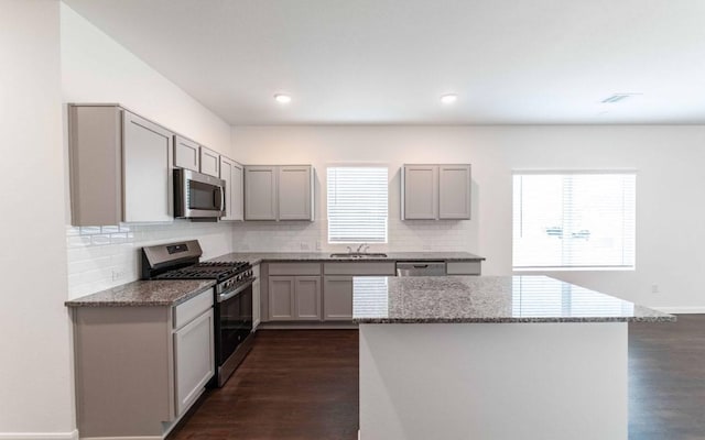 108 Biscayne Dr, Hutto, TX 78634 - kitchen with gray cabinets, stainless steel appliances, dark wood-style floors, and a sink