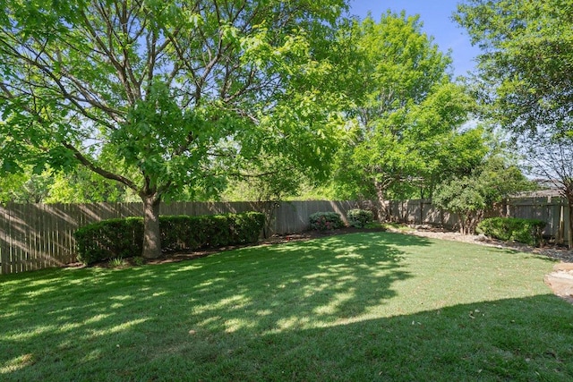 901 Middle Brook Dr, Leander, TX 78641 - view of yard featuring a fenced backyard