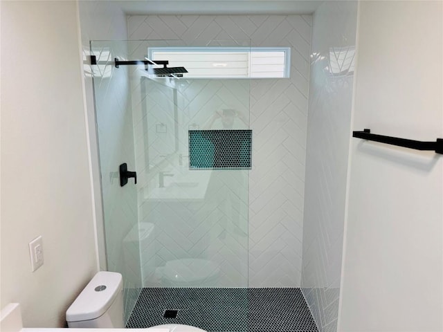 bathroom with toilet and a stall shower