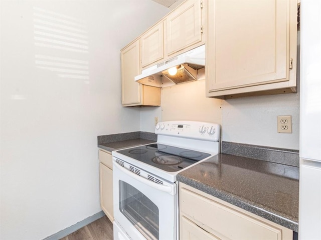 9624 Sugar Hill Dr Unit A & B, Austin, TX 78748 - kitchen featuring electric stove, under cabinet range hood, dark countertops, and wood finished floors