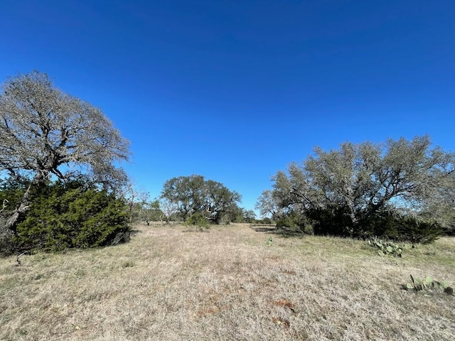 119 Spanish Oak Dr, Goldthwaite, TX 76844 - photo 1