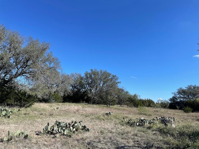 119 Spanish Oak Dr, Goldthwaite, TX 76844 - photo 3
