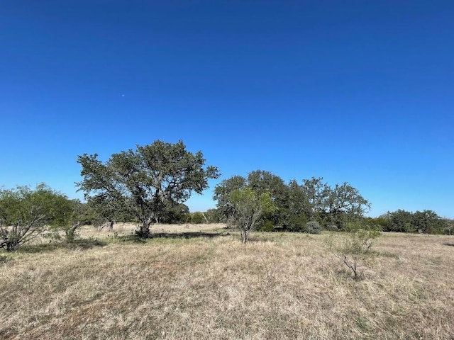 119 Spanish Oak Dr, Goldthwaite, TX 76844 - photo 4