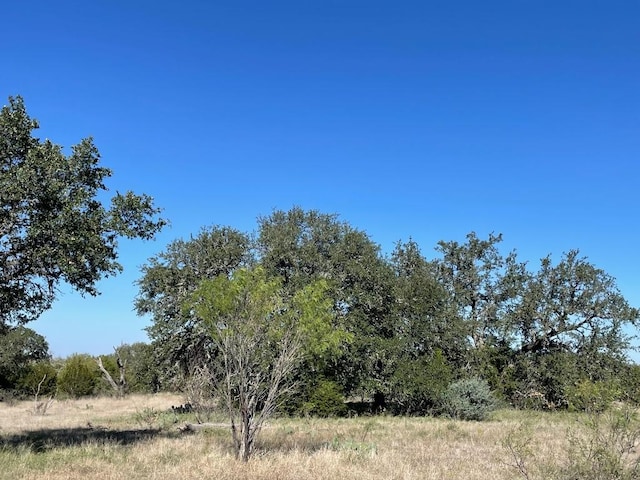 119 Spanish Oak Dr, Goldthwaite, TX 76844 - photo 5