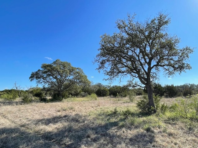 119 Spanish Oak Dr, Goldthwaite, TX 76844 - photo 6