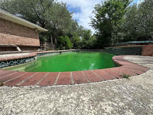 1710 Muledeer Run, Leander, TX 78641 - swimming pool with view of scattered trees